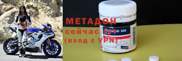 прущие грибы Дмитриев