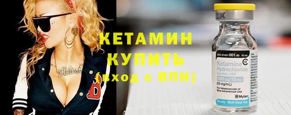 прущие грибы Дмитриев