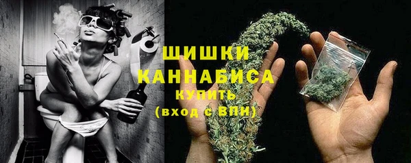 прущие грибы Дмитриев