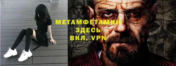 прущие грибы Дмитриев