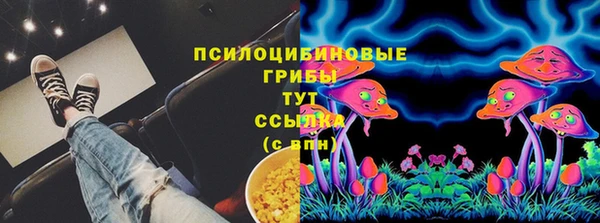 PSILOCYBIN Дмитров