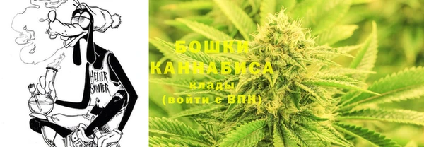 мет Гусев