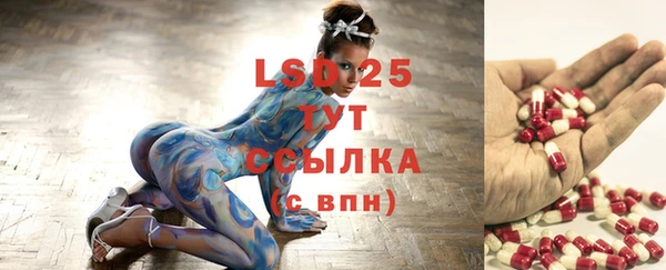МДПВ Струнино