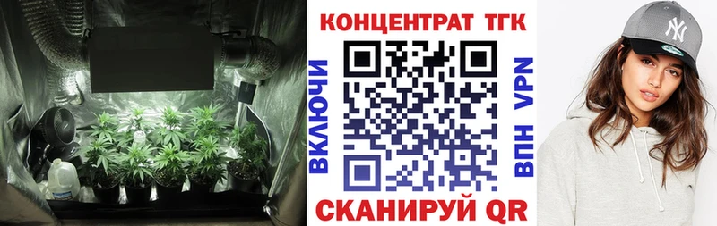Купить  Саров  ТГК гашишное масло 