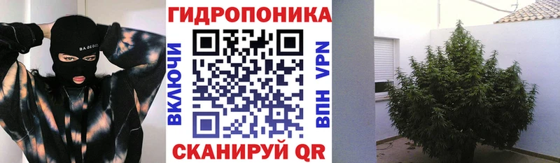 Бошки Шишки ГИДРОПОН  Купить закладки  Саров 